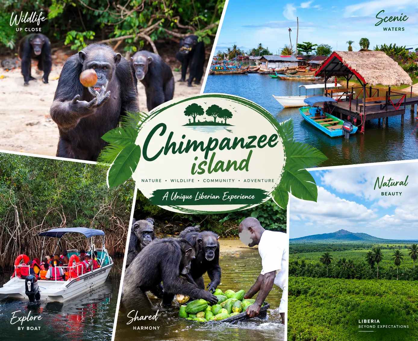 Chimpanzee Island Boat Adventure — Liberia Tour Package