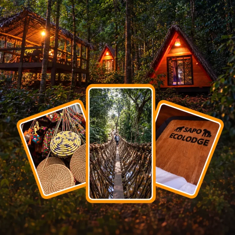 Sapo National Park Adventure